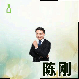 陈刚